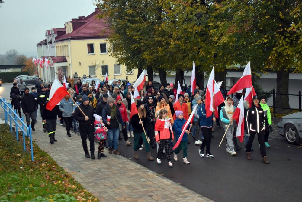 Uczestnicy spaceru niepodległościowego, kobiety, mężczyźni, dzieci z flagami
